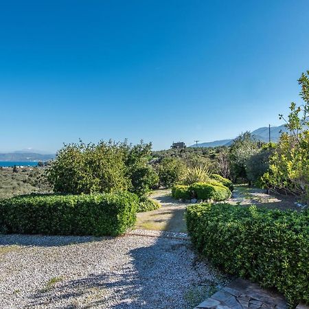 Olive Garden Vila Exopoli エクステリア 写真